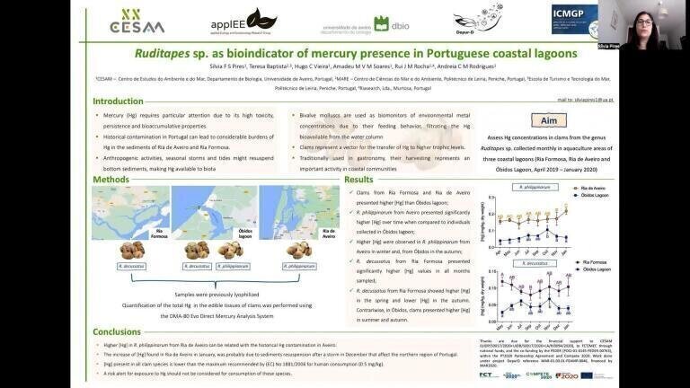 Ruditapes sp. as bioindicators of mercury presence in Portuguese coastal lagoons